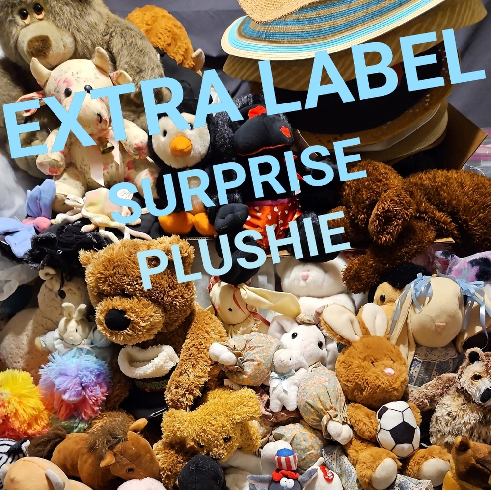 EXTRA BOX LABEL - PLUSHIE Surprise - Extra Box Label
